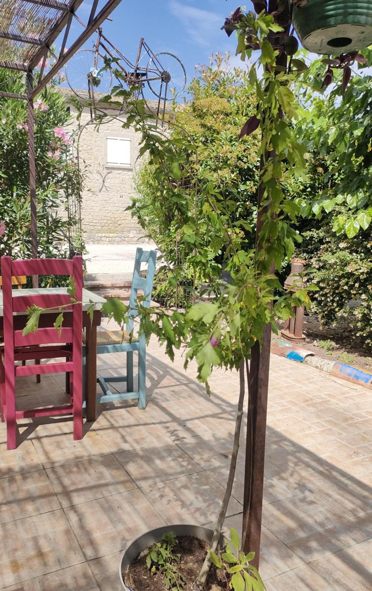 Les P'Tits Velos Bed & Breakfast Chandolas Exterior photo